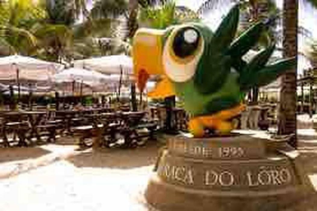 Pe Na Areia Vista Total Mar - O Paraiso E Aqui! Салвадор Екстериор снимка
