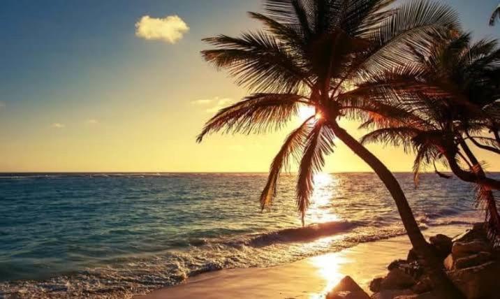 Pe Na Areia Vista Total Mar - O Paraiso E Aqui! Салвадор Екстериор снимка